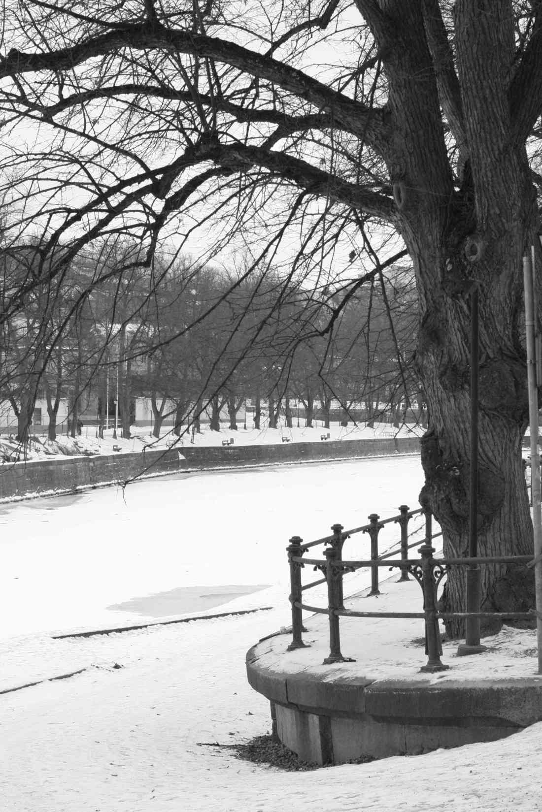 frozen-turku-reduced